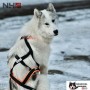 Harnais Northern Howl X-Back classique - Harnais de traction pour chien - en action