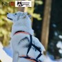 Harnais Northern Howl X-Back classique - Harnais de traction pour chien - en action