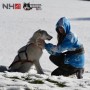 Harnais Northern Howl X-Back classique - Harnais de traction pour chien - en action