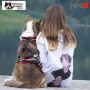 Harnais Northern Howl X-Back classique - Harnais de traction pour chien - en action