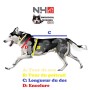 Harnais Northern Howl X-Back classique - Harnais de traction pour chien - schéma chien mesure taille
