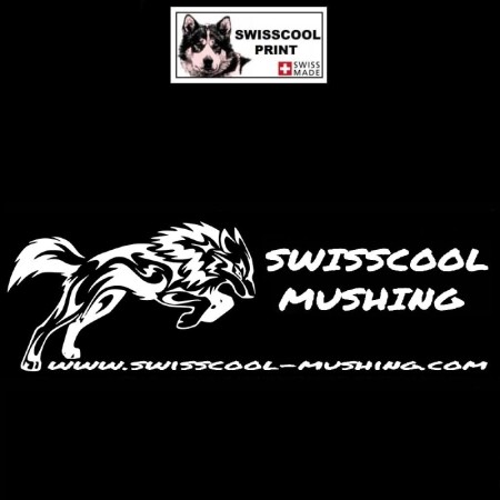 Autocollant Swisscool Mushing - Chiens de sport et de traineau - blanc