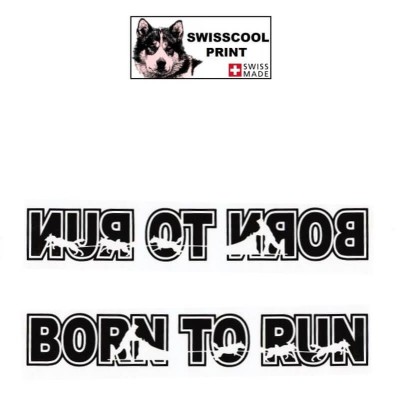 Autocollant lettrage BORN TO RUN avec Attelage chiens de traineau - Stickers voiture - chiens de sport - noir