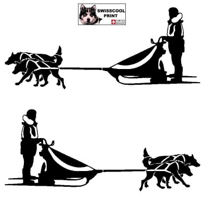 Autocollant Mushing - musher avec son traineau et son attelage de deux chiens - Stickers voiture - noir