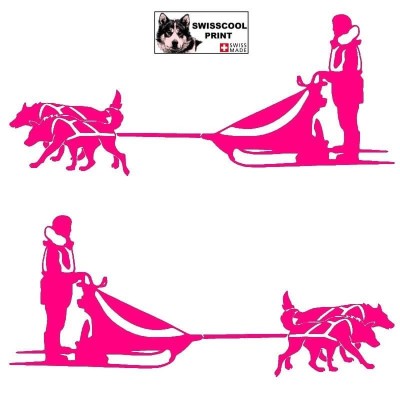Autocollant Mushing - musher avec son traineau et son attelage de deux chiens - Stickers voiture - rose