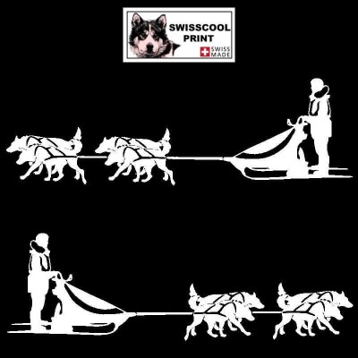 Autocollant Mushing - musher avec son traineau et son attelage de quatre chiens - Stickers voiture - blanc