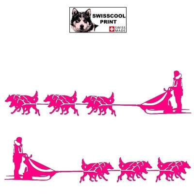 Autocollant Mushing - musher avec son traineau et son attelage de six chiens - Stickers voiture - rose