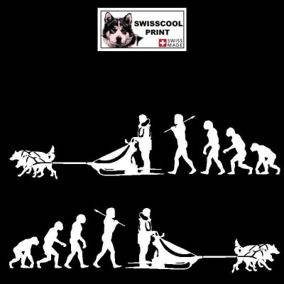 Autocollant Mushing avec attelage chien de traineau - Evolution humaine - Stickers voiture - blanc