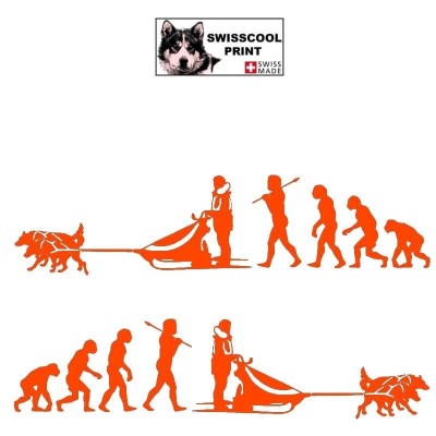 Autocollant Mushing avec attelage chien de traineau - Evolution humaine - Stickers voiture - orange