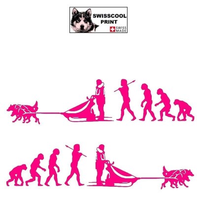 Autocollant Mushing avec attelage chien de traineau - Evolution humaine - Stickers voiture - rose