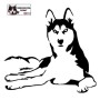 Autocollant chien husky couché - Vue de face - Stickers voiture - chiens de sport et de traineau - noir