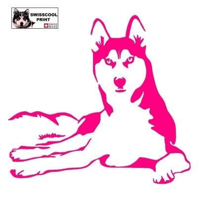 Autocollant chien husky couché - Vue de face - Stickers voiture - chiens de sport et de traineau - rose
