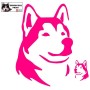 Autocollant illustrant une tête de malamute - Vue de profil - Stickers voiture - chiens de sport et de traineau - rose