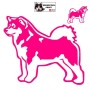 Autocollant chien malamute debout - Vue de profil - Stickers voiture - chiens de sport et de traineau - rose