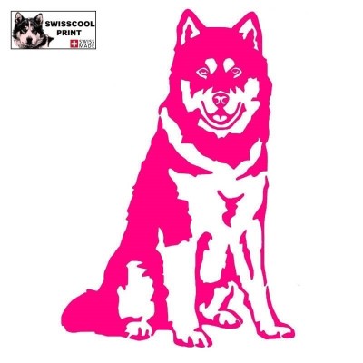 Autocollant chien malamute debout - Vue de face - Stickers voiture - chiens de sport et de traineau - rose