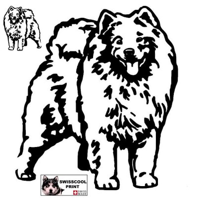 Autocollant chien samoyède debout - Vue de profil - Stickers voiture - chiens de sport et de traineau - noir