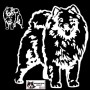 Autocollant chien samoyède debout - Vue de profil - Stickers voiture - chiens de sport et de traineau - blanc