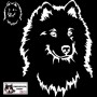 Autocollant illustrant une tête de samoyède - Vue de face - Stickers voiture - chiens de sport et de traineau - blanc