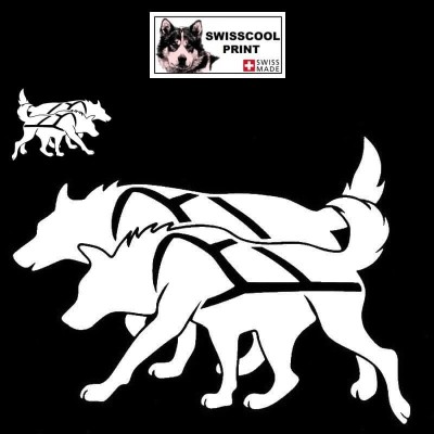 Autocollant chiens nordiques avec harnais - Stickers voiture - chiens de traineau - blanc
