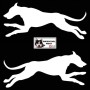 Autocollant chiens de traineau moderne - Vue de profil - alaskan husky, eurohound, greyster, ESD - sticker voiture - blanc