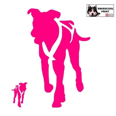 Autocollant chiens de traineau moderne - Vue de face - alaskan husky, eurohound, greyster, ESD - sticker voiture - rose