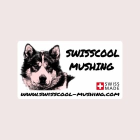 Sticker Autocollant Swisscool Mushing - Chiens de sport et de traineau