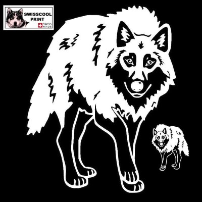 Autocollant illustrant un Loup qui avance vers nous tel un Loup Prédateur - Vue de face - Stickers voiture - blanc