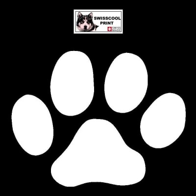 autocollant patte de chien - stickers voiture animaux - blanc