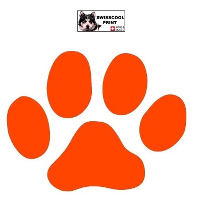 autocollant patte de chien - stickers voiture animaux - orange