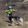 Trottinette Gravity Scooters Mushing Pro - CaniTrottinette - en pleine action course