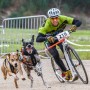 Trottinette Gravity Scooters Pulka R - CaniTrottinette - course avec 2 chiens