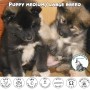 Greenheart Chiot Medium/Large Breeds - Croquettes pour chiot moyenne et grande race - chiot