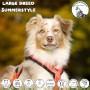 Greenheart Premiums Chien Large Breed / Summerstyle - Croquette pour jeune chien actif moyenne et grande race
