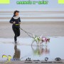 Harnais X Shirt de Axaeco - Harnais de traction pour chien - canicross - canirando
