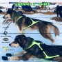Harnais X Shirt de Axaeco - Harnais de traction pour chien - attelage - mushing