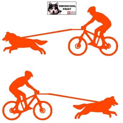 Homme pratiquant du vélo tout terrain (VTT) avec son chien - Autocollant CaniVTT - Stickers voiture - orange