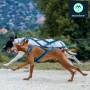 Harnais Koyuk de Musher - Harnais de traction pour chien (x-back) - Harnais en action - canicross