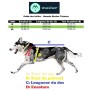 Harnais Takotna de Musher - Harnais de traction pour chien (x-back) - guide des tailles