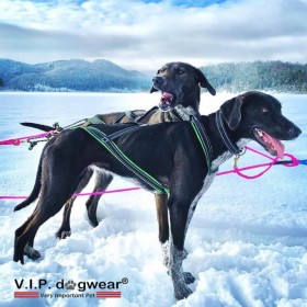 Harnais VIP Dogwear X-Back R - Harnais de traction pour chien à encolure ronde - néon vert