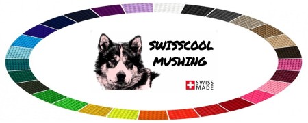 Sangle nylon : Un matériau essentiel pour les articles de sport canin