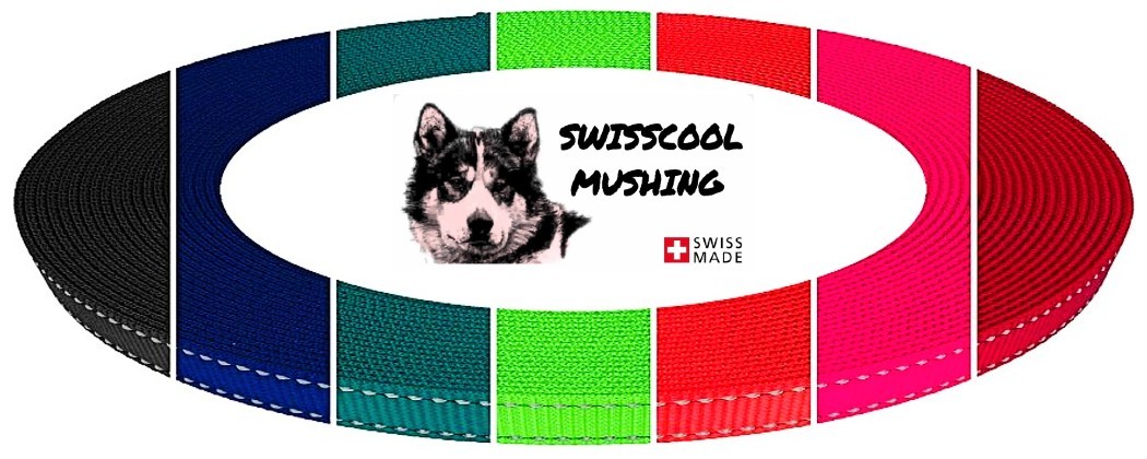 Améliorez votre visibilité avec nos sangles réfléchissantes pour chiens