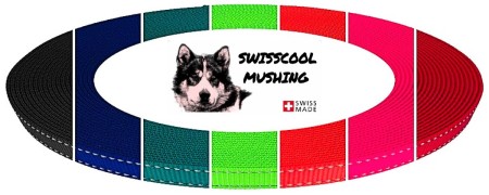 Améliorez votre visibilité avec nos sangles réfléchissantes pour chiens