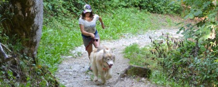 Exprimez votre passion pour le canicross avec nos autocollants unique