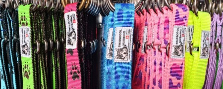 Gamme complète de colliers pour chiens - Confort et Performance
