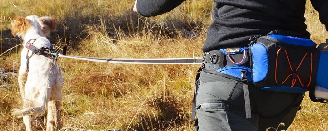 Ceinture et Baudrier pour pratiquer la Cani-Rando - Loisir et Compétition