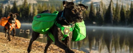 Sac à Dos - Sac de Bât pour chien pour les passionnés de grande randonnée