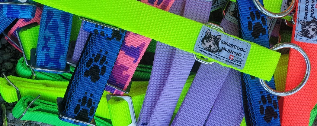Collier classique pour chien de sport - Robuste, Performant et Confortable