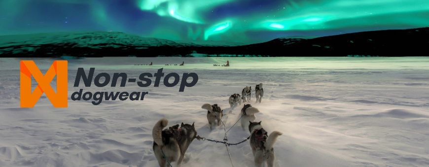 non-stop dogwear