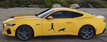 autocollant canicross - femme avec chien - autocollant voiture