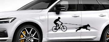 autocollant canivtt - homme en vtt pratiquant du canivtt avec son chien - autocollant voiture